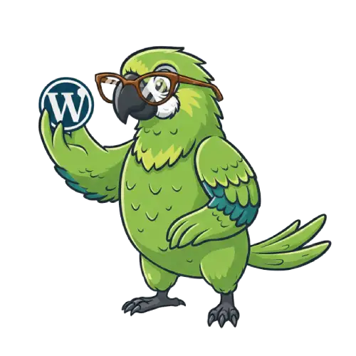 Expert e-commerce store setup and configuration services