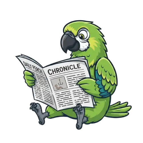 Expert web designer creating a high-converting website for a business