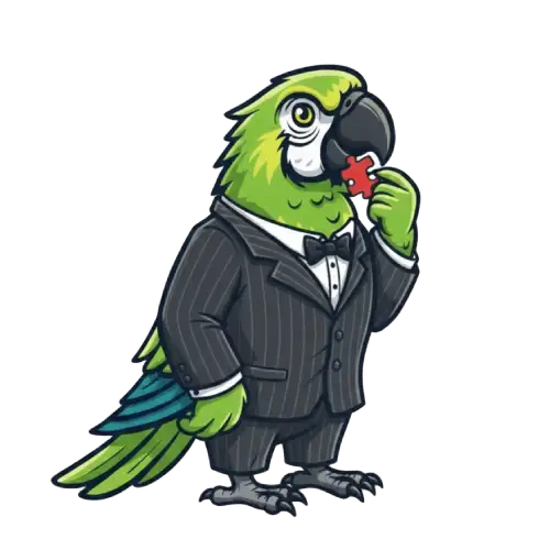 Professional web development agency building a custom e-commerce store